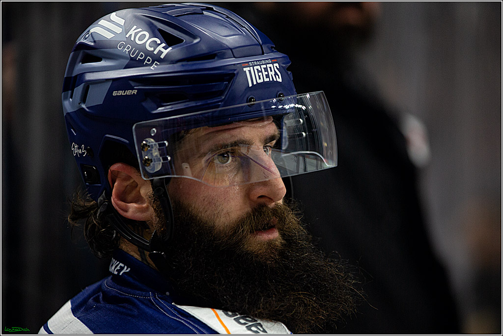 PENNY DEL; Koelner Haie- Straubing Tigers; Koeln, 28.12.2022